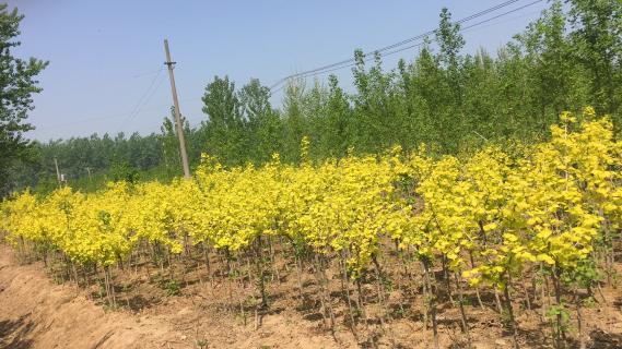 明光市市委书记被天火娱乐企业文化深深感动 | 深入沟通合作空间广阔